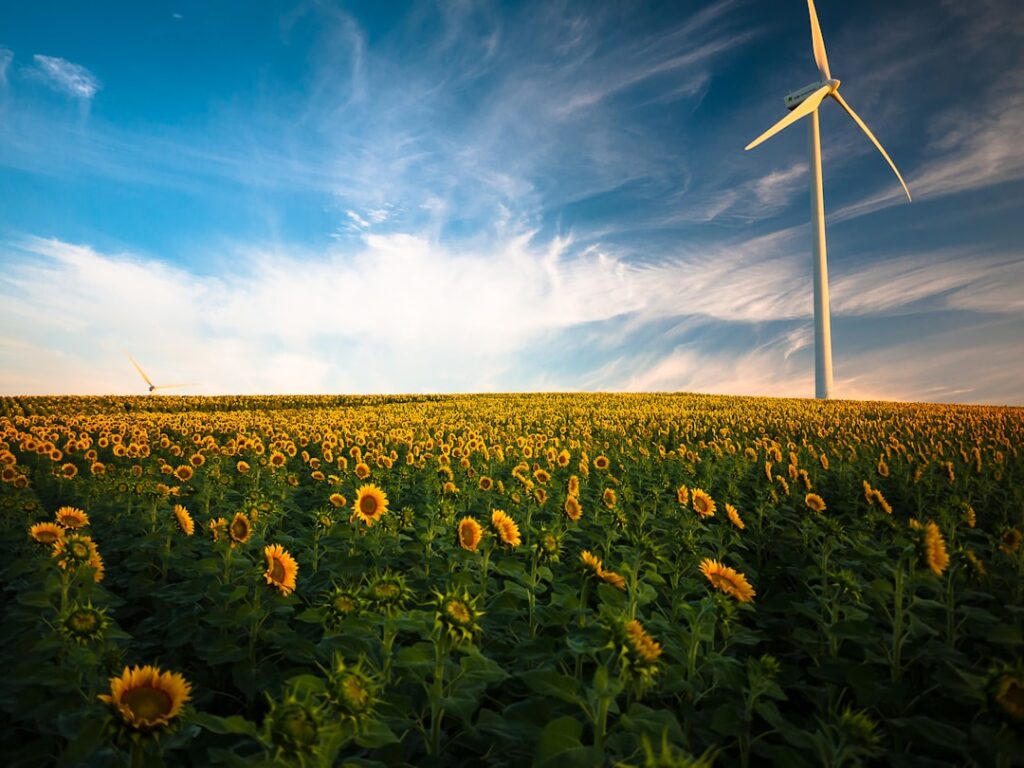 Photo positive energy
